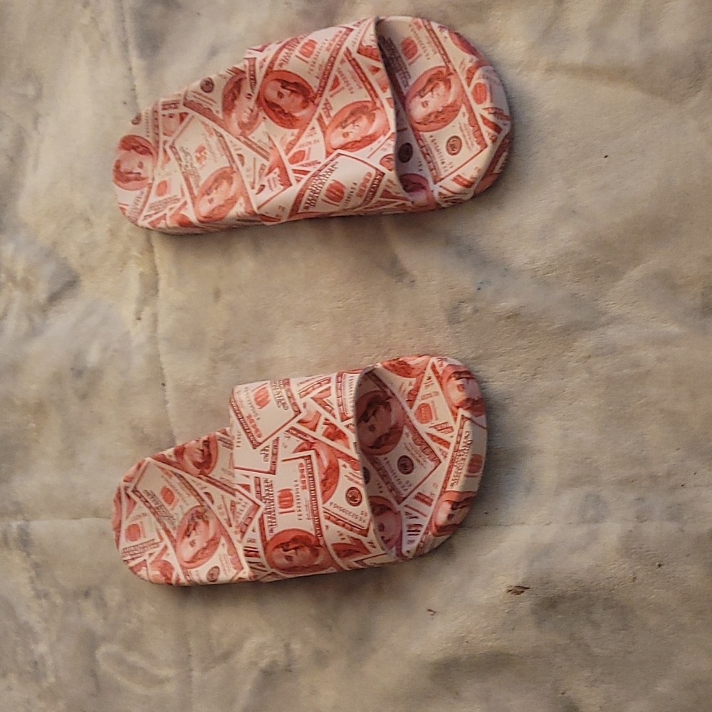 Brand new money print slide sandals